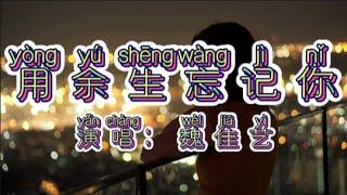 Chinese - 中国語歌ピンイン付き《用余生忘记你》learn Chinese with pop song 听歌学中文60魏佳艺-用余生忘记你，凄美旋律，委婉动听，心痛的滋味