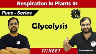 Respiration in Plants 01 Glycolysis  Class 11  Pace series  NEET