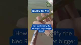Deadly Ned Rig Hack to Catch Monster Bass #shorts #fishing #diy
