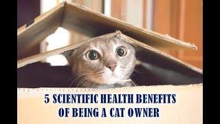 5 Scientific Health Benefits of Being a Cat Owner