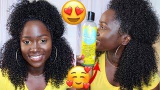 JUICY AND DEFINED WASH N GO ft CURLS BLUEBERRY BLISS COLLECTIONNatural Hair