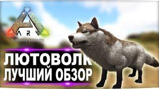 Лютоволк Direwolf в АРК  Лучший обзор приручение разведение и способности  в ark