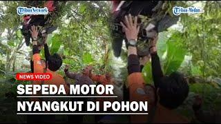 Viral Gara-gara Rem Blong Sepeda Motor Terpental dan Nyangkut di Pohon Setinggi 3 Meter