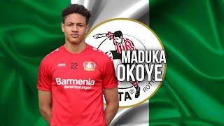 Maduka Okoye Best Saves • Save Compilation  The New Young Eagle