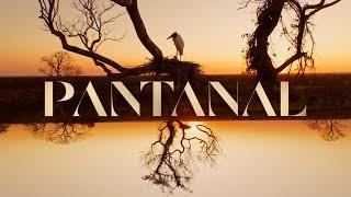 Pantanal a abertura da nova novela das 21h   TV Globo