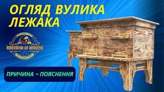 Вулик лежак. Огляд класичного варіанту. Плюси і мінуси власний досвід.