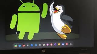 Duo OS in One - DebiDroid 12 GNU & WayDroid install to Probook