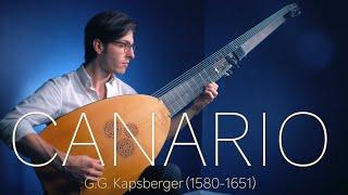 Canario on Theorbo