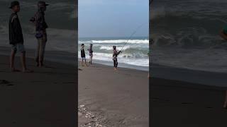 Surf fishing #shorts #mancingpasiran #mancing #friendship