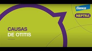 Causas de Otitis - M.V. Pablo Manzuc - Neptra