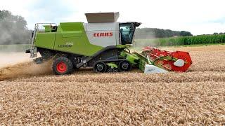 Уборка пшеницы 2023г в Германии  Комбайн Claas Lexion 770.