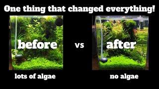 I GOT RID OF ALGAE AFTER I DID THIS ONE THING 