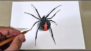 how to draw 3d drawing spider on paper