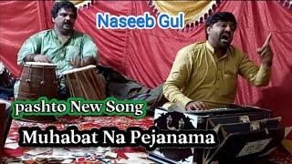 Pashto Song  Bazar Da Dunya Ke Muhabat Na Pejanama  Naseeb Gull  Khyber Mazigar