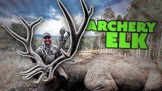 Archery Elk Hunt In The Utah Mountains  Deer Season 24