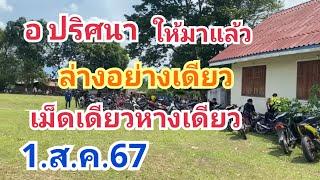 อ.ปริศนา#ให้มาแล้วล่างอย่างเดียว#เม็ดเดียวหางเดียว#1.ส.ค.67