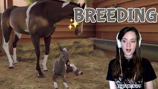 BREEDING THE BEST AND MOST BEAUTIFUL HORSES #1 - Rival Stars Horse Racing  Pinehaven