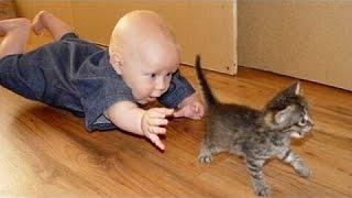 Smešne Mačke In Otroci Igrajo Skupaj - Luštna Mačka