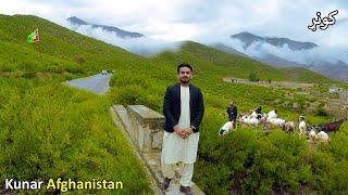 Kunar Travel  Shigal to Dangam   P2  د کونړ سفر ښکلا