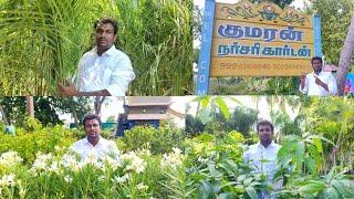 Kumaran Nursery Garden-Vadipatti-Nursery plants wholesale in Madurai-Best Nursery in Tamilnadu