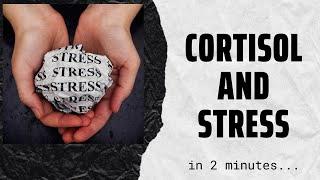 Cortisol the stress hormone in 2 mins