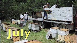 July Beekeeping Odds & Ends