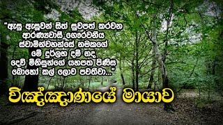 විඤ්ඤාණයේ මායාව  Samma Ditthi UK