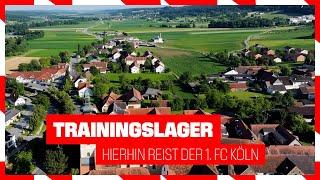 Bedingungen im Trainingslager  Hierhin reist der FC   1. FC Köln