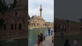 ŞANLI URFA BALIKLI GÖL