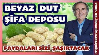 BEYAZ DUT İÇİNDE Kİ BÜYÜK ŞİFA  #dutkurusu #egzama #iltihap #dutpekmezi #ibrahimsaraçoğlu #