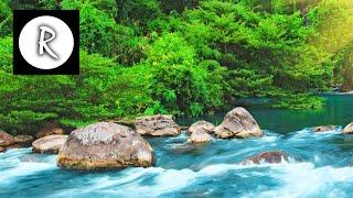 Relaxing Nature Sounds - Water Sound 24 Hours Gentle River & Stream