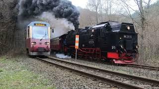 Unterwegs mit der 99 7245-6 auf der Harzquerbahn am 13.04.2023