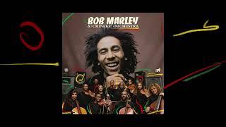 Turn Your Lights Down Low – Bob Marley and The Chineke Orchestra Visualiser