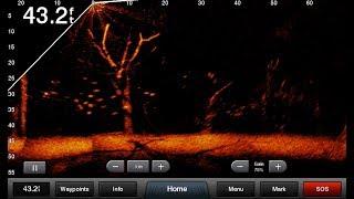 Panoptix LiveScope – The most amazing sonar technology ever.