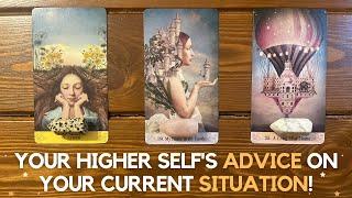 Your Higher Selfs advice on your current situation   Pick a card