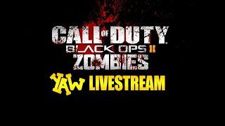 Black Ops 2 Zombies with GUNNS4HIRE