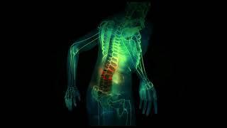 Lower Back Pain Treatment - Pure Isochronic Binaural Beats   15 Min Rife Healing Frequency