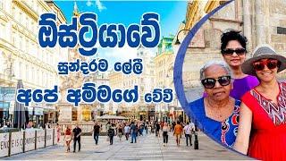 අනුරාධපුරේ ගමේ ජීවත්වෙලා ඔස්ට්‍රියාවට අම්මව  එක්ක ආවා️#travel #wien