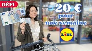 20 euros pour manger UNE SEMAINE CHEZ LIDL • alimentation petit budget vs santé 