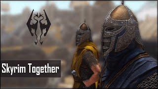 ГАЙД SKYRIM TOGETHER С МОДАМИ  СВОЙ СЕРВЕР