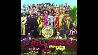 Strawberry Fields meets Good Vibrations  Strawberry Vibrations - Beatles Beach Boys Medley Mashup