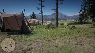 Red Dead Redemption - Crazy Times At The Campsite