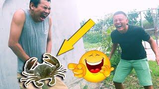 Try Not To Laugh with 46 Minutes Comedy Videos - Best Compilation from Lol Troll - Ep 88