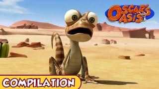 Oscars Oasis - January COMPILATION