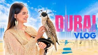 Dubai Vlog My Performance at the UN Event  @AnushkaSen04