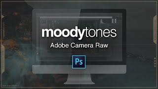 Moody Tones  Adobe Camera Raw Tutorial