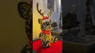 iPhone 15 Pro ProRes Log Video Örneği – Roma