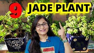 JADE PLANT - COMPLETE CARE GROWING TIPS PROPAGATION IS JADE INDOOR? #jadeplant #gardening #plants