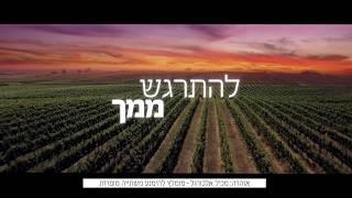 יקב רמת הגולן - ארץ היין