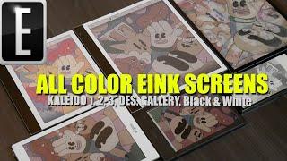 Every E INK Color e-paper Screen Compared  Kaleido 1.23 DES and Gallery 3